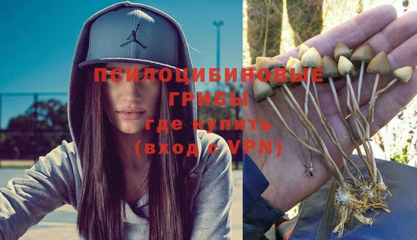 Альфа ПВП Алзамай