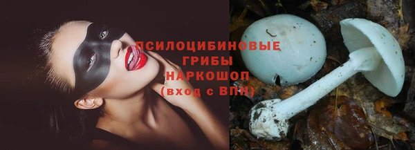 мяу мяу мука Абинск